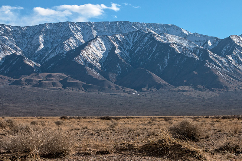 travel to mongolia